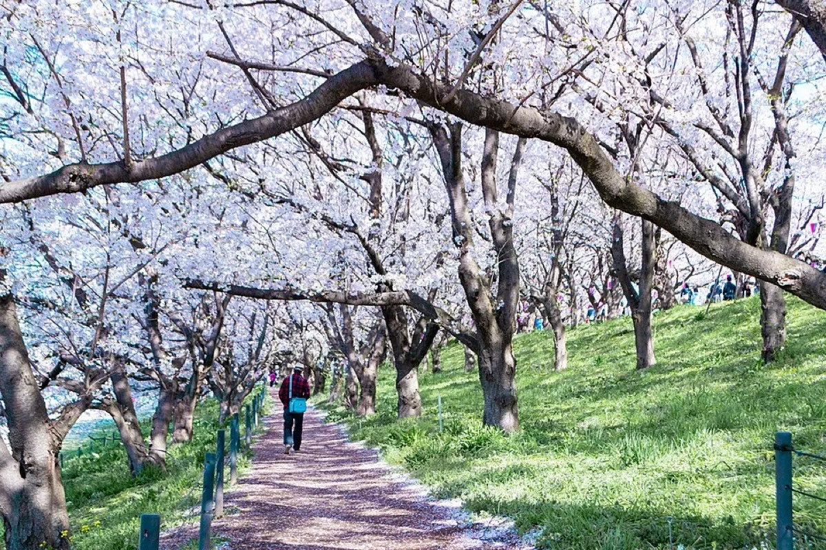 幸手市の風景